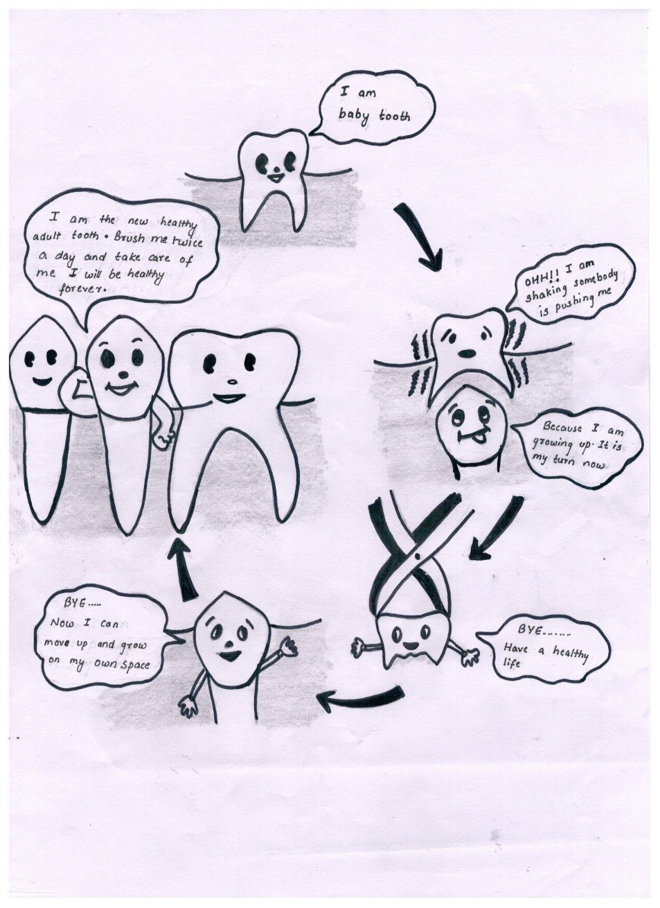 tooth loss cycle
