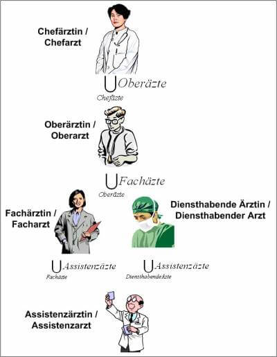 hierarchy-doctor-german