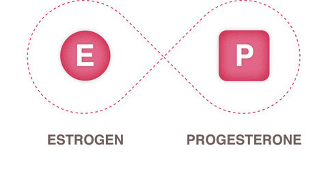 estrogen receptor breast