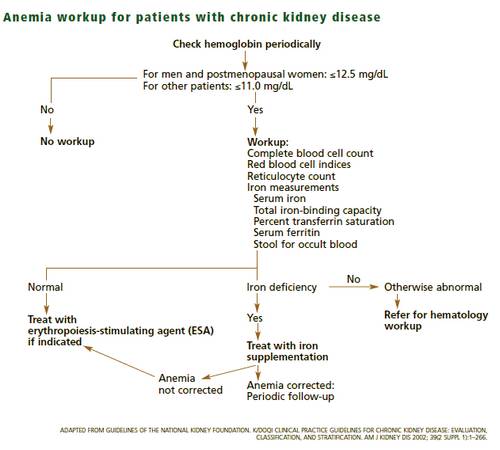 Anemia in Chronic Kidney Disease or CKD