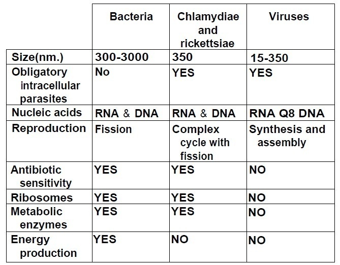 Microbiology of Rickettsia