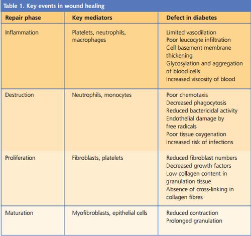 DM wound healing stages