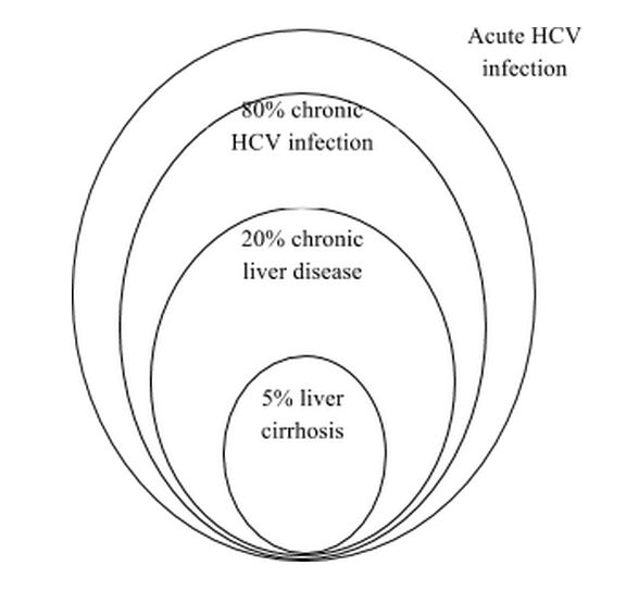Viral hepatitis genotyping: a tool for therapeutic management