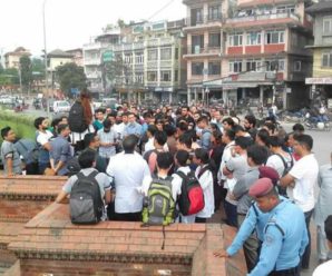 Charikot- A horror prepared by Media and Mob
