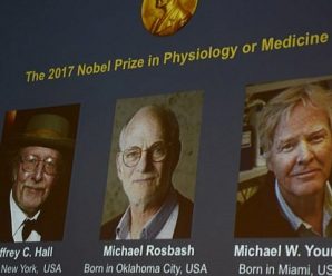 Research on circadian clocks: 3 American doctors win Nobel prize 2017