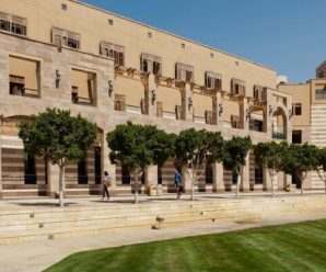 Top 10 Medical Schools (Governmental) in Egypt